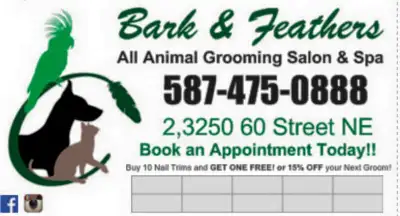 Weekend Appts Available Dog and Cat Grooming, View more