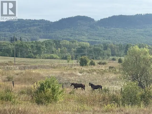 4421 TYHEE LAKE ROAD Telkwa, British Columbia in Land for Sale in Smithers - Image 27