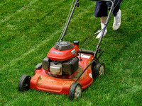 lawn and garden care