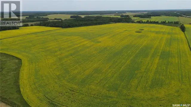White Farm Torch River Rm No. 488, Saskatchewan in Land for Sale in Prince Albert - Image 11