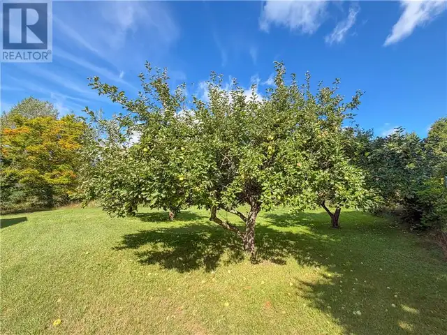 1703 Union Road Evansville, Ontario in Land for Sale in Sudbury - Image 6