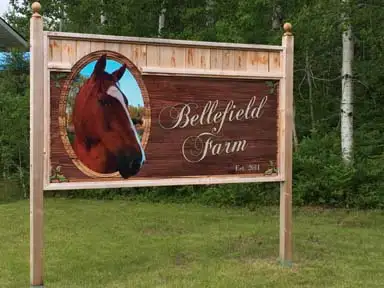 Horse Boarding Callander Area in Equestrian & Livestock Accessories in North Bay - Image 2