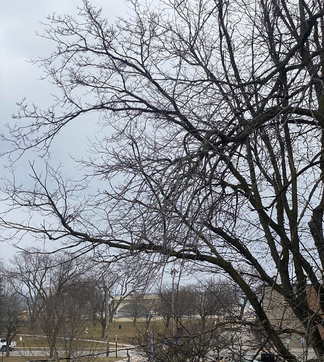 Cobourg Large 1 BDRM + Den for Lease Available August 1st Long Term