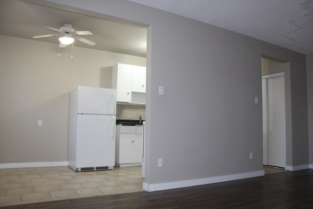 Queen Mary Park Apartment For Rent | Cypress Manor in Long Term Rentals in Edmonton - Image 2