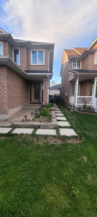 2 bedroom legal basement with seperate entrance, Oshawa College