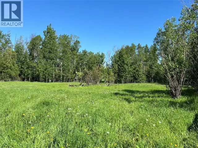 3466 218 Road Dawson Creek, British Columbia in Houses for Sale in Dawson Creek - Image 24