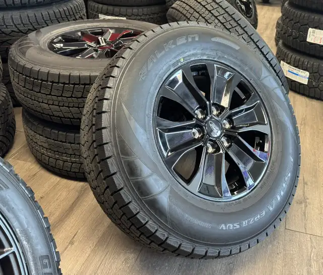 2005–2026 Ford F-150 / Expedition Winter Rim &  Tires in Tires & Rims in Edmonton - Image 7