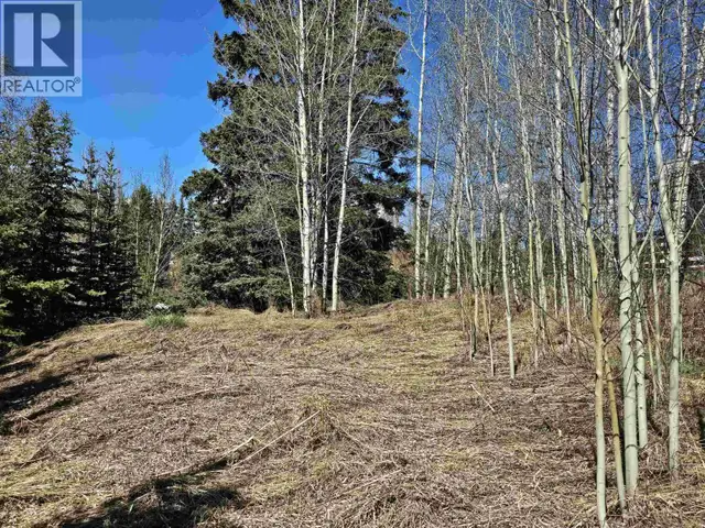 101 5TH AVENUE Burns Lake, British Columbia in Land for Sale in Burns Lake - Image 3