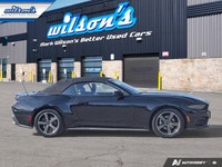 Look at this certified 2025 Ford Mustang EcoBoost Premium | Leather | Heated Wheel + Seats | CarPlay... (image 5)