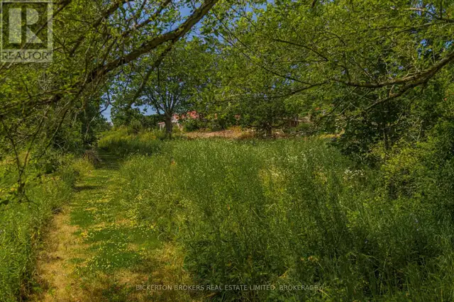 790 KING STREET W Gananoque, Ontario in Land for Sale in Kingston - Image 12
