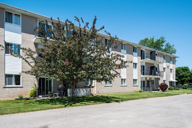 315 Willow Street - Two Bedroom Apartment Apartment for Rent in Long Term Rentals in Stratford - Image 3