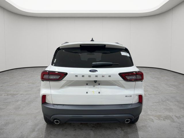 2025 Ford Escape ST-Line in Cars & Trucks in Strathcona County - Image 4