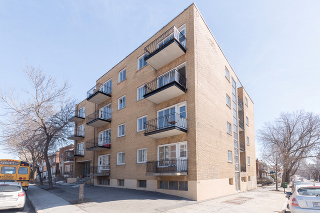 3 1/2 ROSEMONT, PRES DE PIE-IX, PROPRE, RÉNOVÉ, FRAIS PEINT dans Locations longue durée  à Ville de Montréal - Image 2