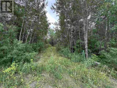 NEARLY 80 ACRES ON FROG CREEK ROAD!! PLENTY OF LAND in a desirable location less than 10 minutes fro...