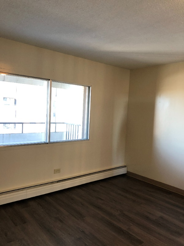 Downtown Bachelor Apartment for Rent Long Term Rentals Edmonton