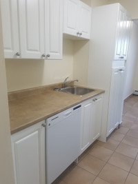Beautiful Fully Renovated 1 Bedroom in Central Fairview