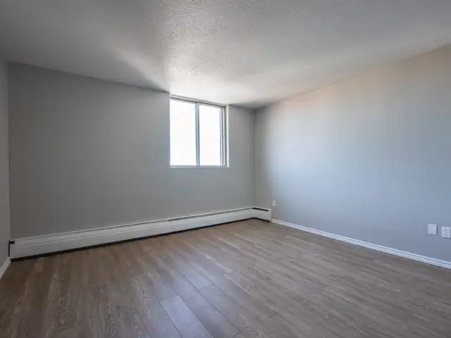 STUNNING 1 BEDROOM - CLOSE TO UNIVERSITIES in Long Term Rentals in City of Halifax - Image 12