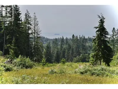 2.57 acres of stunning VIEW property on Reed Road West of Henry Road! Gently sloping & cleared with...