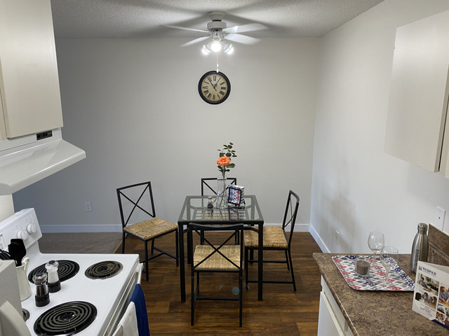 1 Bedroom Apartments Pets Allowed