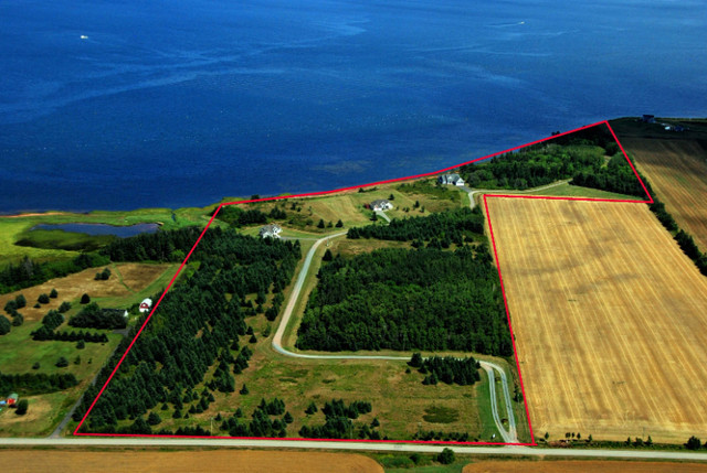 REDUCED $10,000  1 Acre Level Treed  Lot in Morell. in Land for Sale in Charlottetown