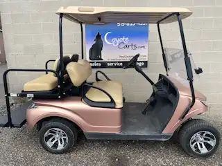 STAND OUT IN THE PARK! BE THE FIRST TO OWN A GOLF CART WITH A SUPER-UNIQUE COLOR!! 2018 EZGO Storm!...