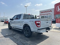 Unleash the power and capability of this 2023 Ford F-150 XL Crew Cab Pickup, boasting a robust Stone... (image 7)