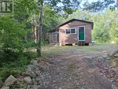 Freshly Updated Off-Grid Cabin Near Bear River Half an Acre with Room to Grow Tucked away on a quiet...