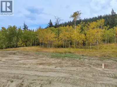 Come and build your new home! half acre of south facing land , this lot will lend itself well to a r...