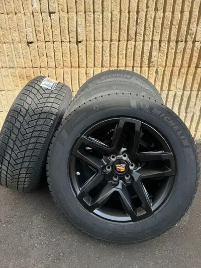 Brand new Cadillac Optiq 18" Winter package, Wheel: RS TP5 18x8.5 Tire: Michelin X ice 245/60/18 Pri...