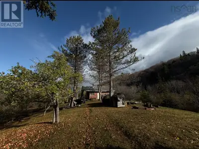 Off-grid freedom awaits on this remarkable 45-acre retreat in the Upper Leitches Creek / rear Boisda...