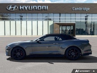 *2019 Ford Mustang EcoBoost Premium Convertible | Automatic | Turbocharged | Low KM* Iconic design m... (image 1)