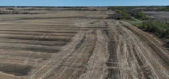 Productive Farmland | RM of Orkney # 244 | Near Willowbrook, SK in Land for Sale in Regina - Image 7
