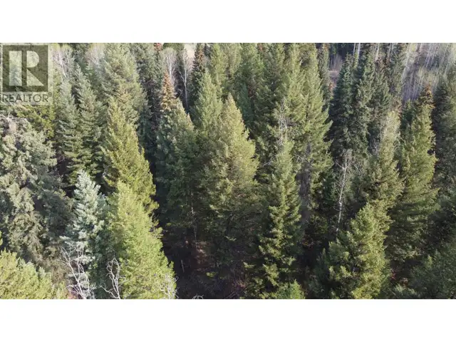 LOT B BRYCE ROAD Forest Grove, British Columbia in Land for Sale in 100 Mile House - Image 5