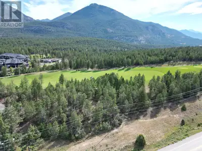 A super deal for a commercial lot in a prime traffic zone in the heart of the beautiful Columbia Val...
