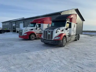 HIRING LONG HAUL COMPANY DRIVER AND OWNER OPERATOR- CANADA/USA, View more