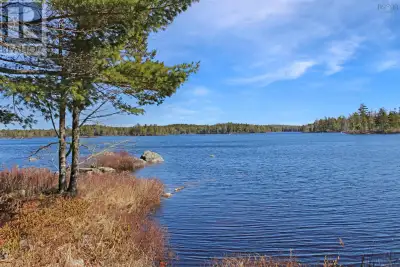 Exceptional opportunities like this are rare. This large parcel is over 123 acres and spanning over...