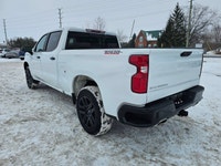 Unleash uncompromising performance and rugged luxury with this breathtaking 2025 Chevrolet Silverado... (image 6)