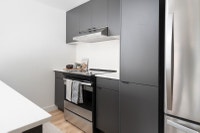 apartment for rent logement locatif-nouveau new-1 bedroom/chambre-1cc 3 1/2-loft-Saint Patrick-Charl... (image 3)