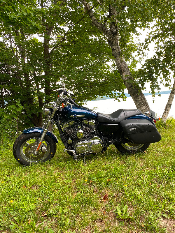 Moto Harley Davidson Sportster 2012 32000km dans Routières  à Laurentides - Image 4
