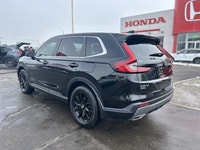 Come visit our Sterling Honda team, you can find us at 1495 Upper James Street, Hamilton, ON L9B 1K2... (image 6)