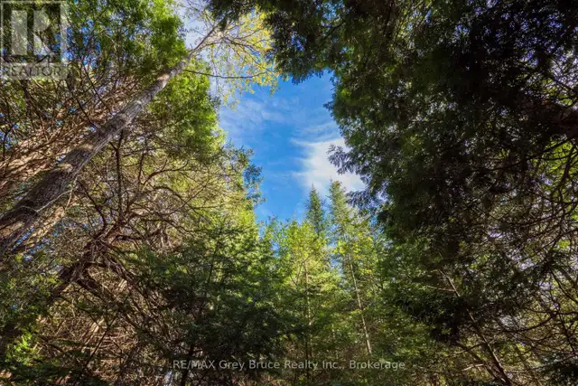 UNIT 6 STOKES BAY ROAD Northern Bruce Peninsula, Ontario in Land for Sale in Owen Sound - Image 20