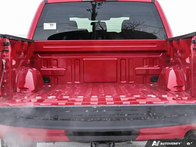2025 Ford F-150 LOBO in Cars & Trucks in Edmonton - Image 14