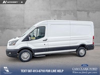Thanks for viewing our Cam Clark Ford Inventory! WAS: $77980 NOW: $66201 plus taxes and licensing fe... (image 3)