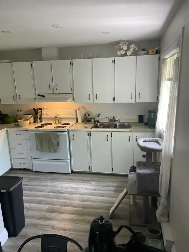 Beautifully Renovated 1-Bedroom Apartment for Rent in Arnprior in Long Term Rentals in Renfrew - Image 8