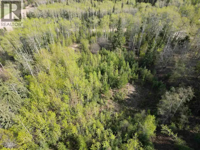 LOT A BALD HILL ROAD Burns Lake, British Columbia in Land for Sale in Burns Lake - Image 2
