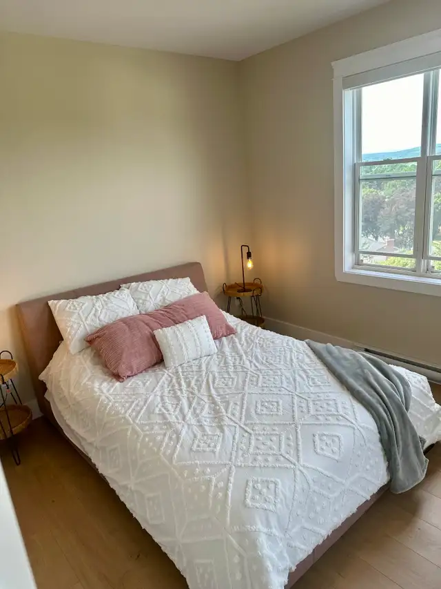 New Dog Friendly Concrete Building with FREE rent! in Long Term Rentals in Fredericton - Image 9