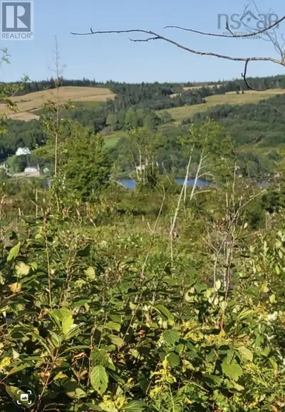 Land in sought after West Side Lochaber- 222 acres. The land is a dream property for outdoor enthusi...