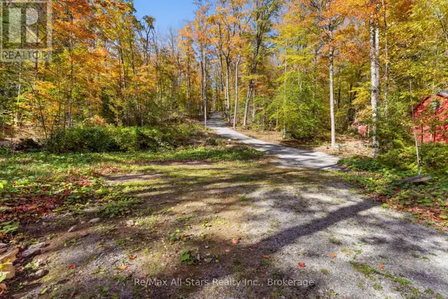 100 RUSSELL DRIVE Trent Lakes, Ontario in Land for Sale in Muskoka - Image 17