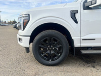 Welcome to Freedom Ford. **WE WILL BEAT ANY FORD DEALER IN THE CITY** The 2025 F-150 is purpose-buil... (image 2)