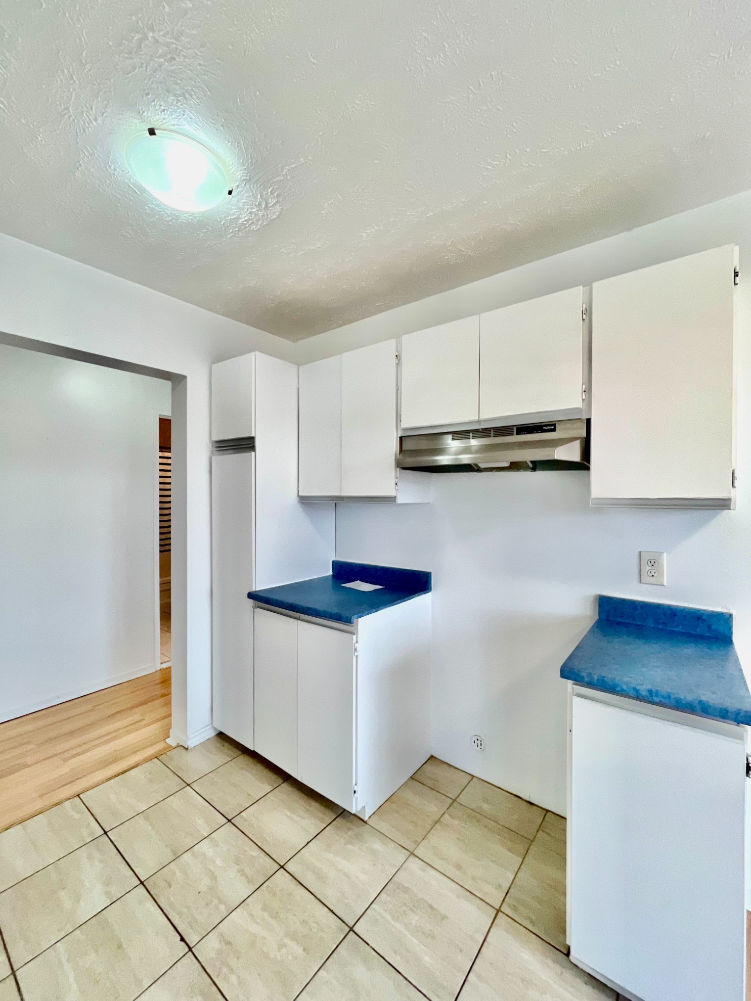 292 rue Bonneau — photo 3